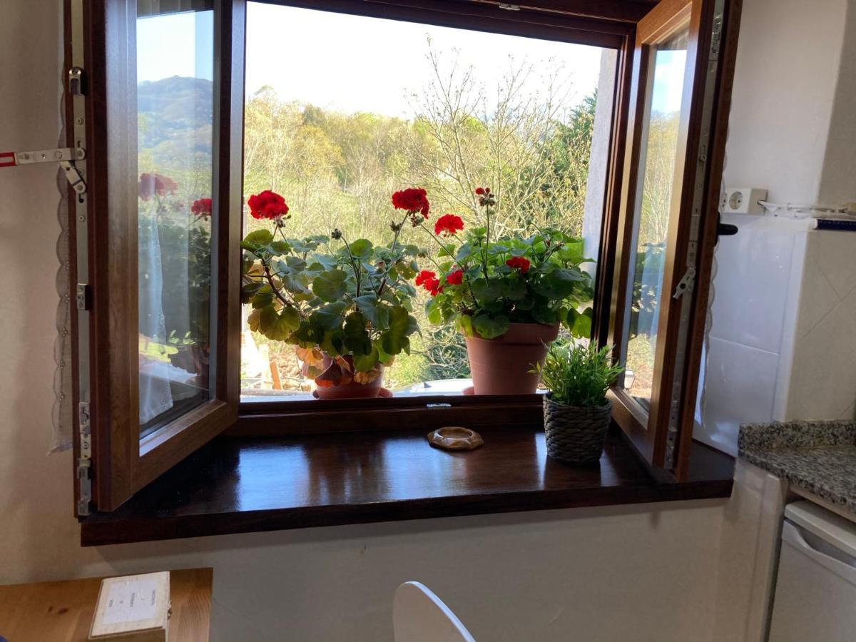 Casa Elena Cangas De Onis Con Wifi Y Parking Gratuito エクステリア 写真