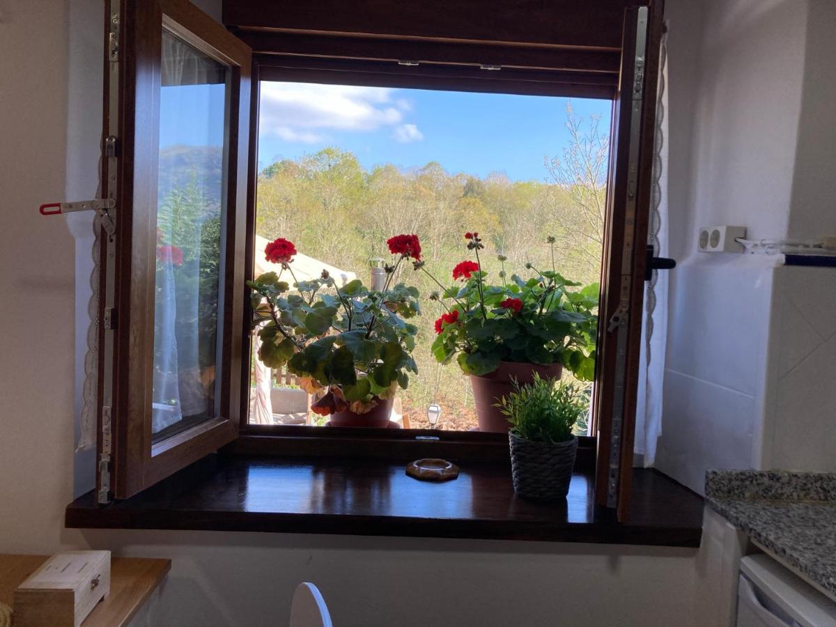 Casa Elena Cangas De Onis Con Wifi Y Parking Gratuito エクステリア 写真