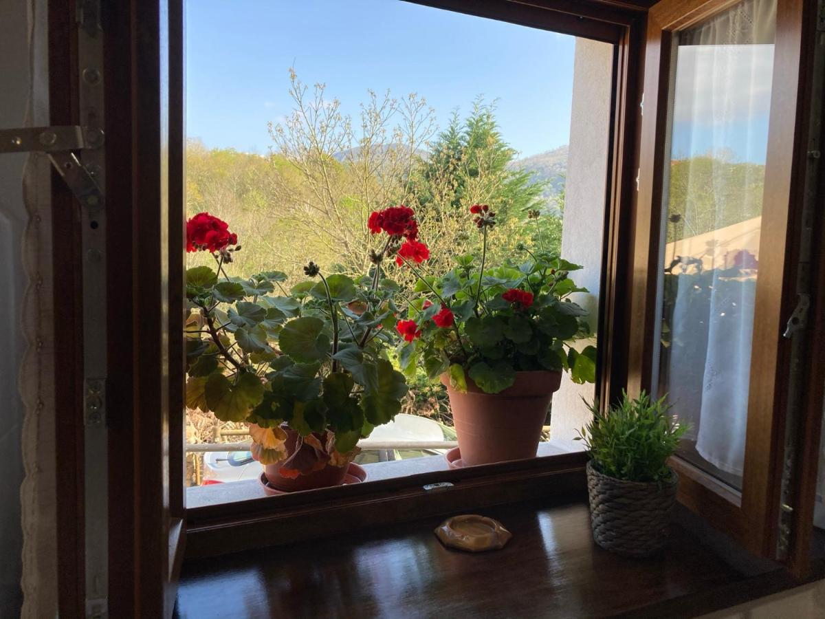 Casa Elena Cangas De Onis Con Wifi Y Parking Gratuito エクステリア 写真