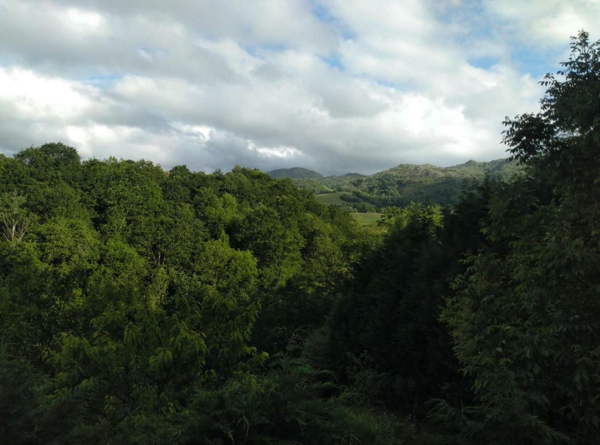 Casa Elena Cangas De Onis Con Wifi Y Parking Gratuito エクステリア 写真