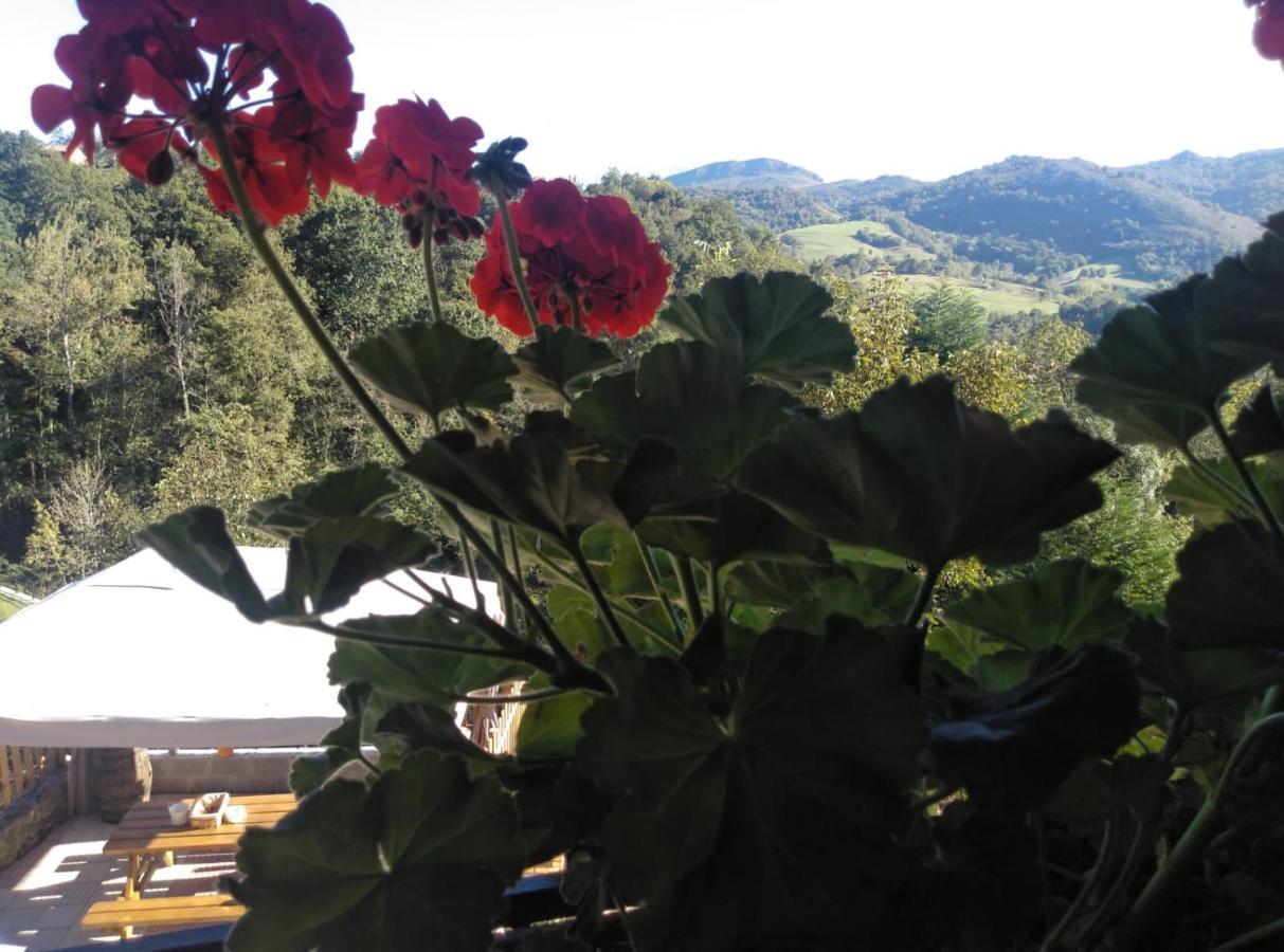 Casa Elena Cangas De Onis Con Wifi Y Parking Gratuito エクステリア 写真